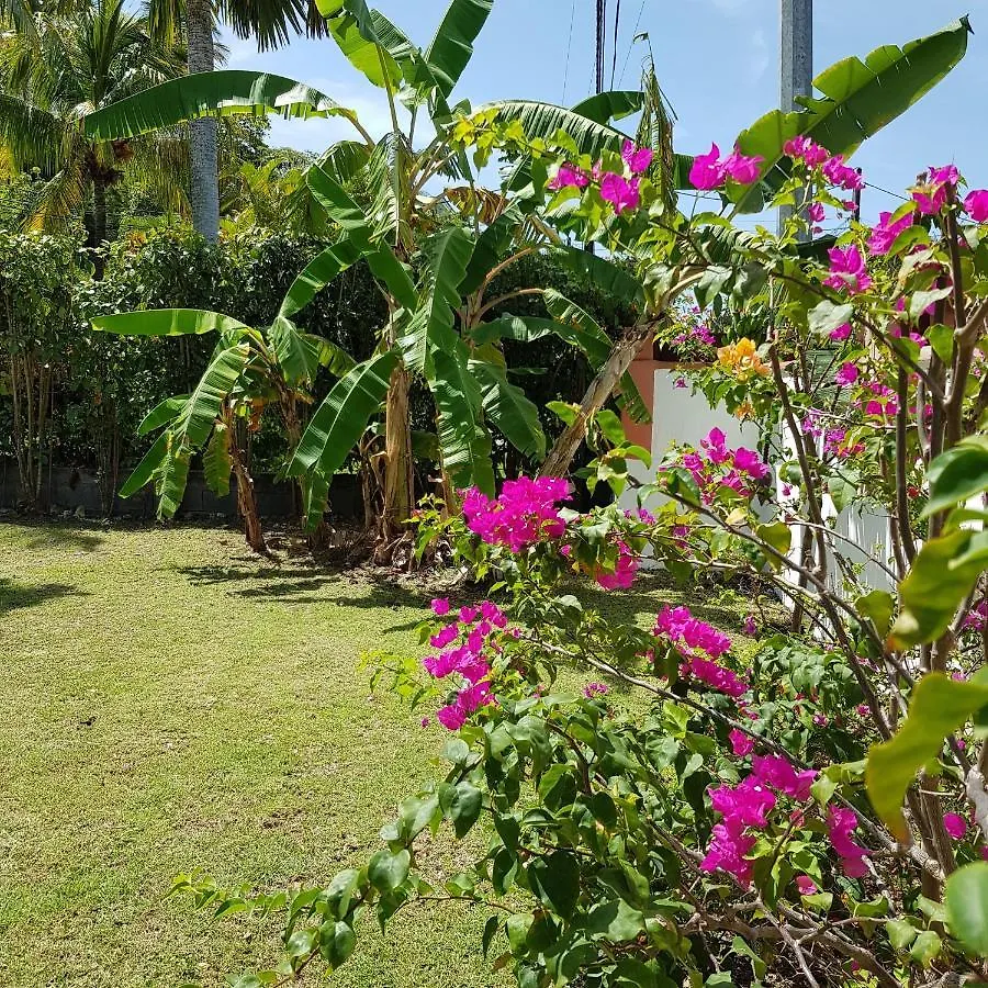 Villa Iguanina120M2-Wifi-300M Plage-4 Pers Ле-Гозье Дом отдыха