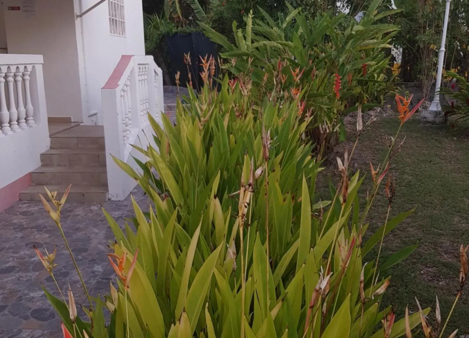 Villa Iguanina120M2-Wifi-300M Plage-4 Pers Le Gosier  Holiday home Le Gosier (Grande-Terre)
